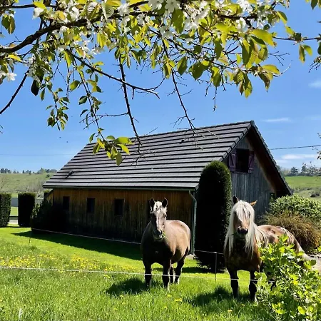 Chalet Le Loti Des Arnats Saint-Nectaire